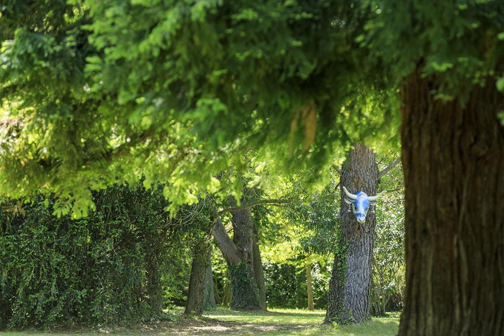 Les Gites Du Domaine De Rhodes Awinion Zewnętrze zdjęcie