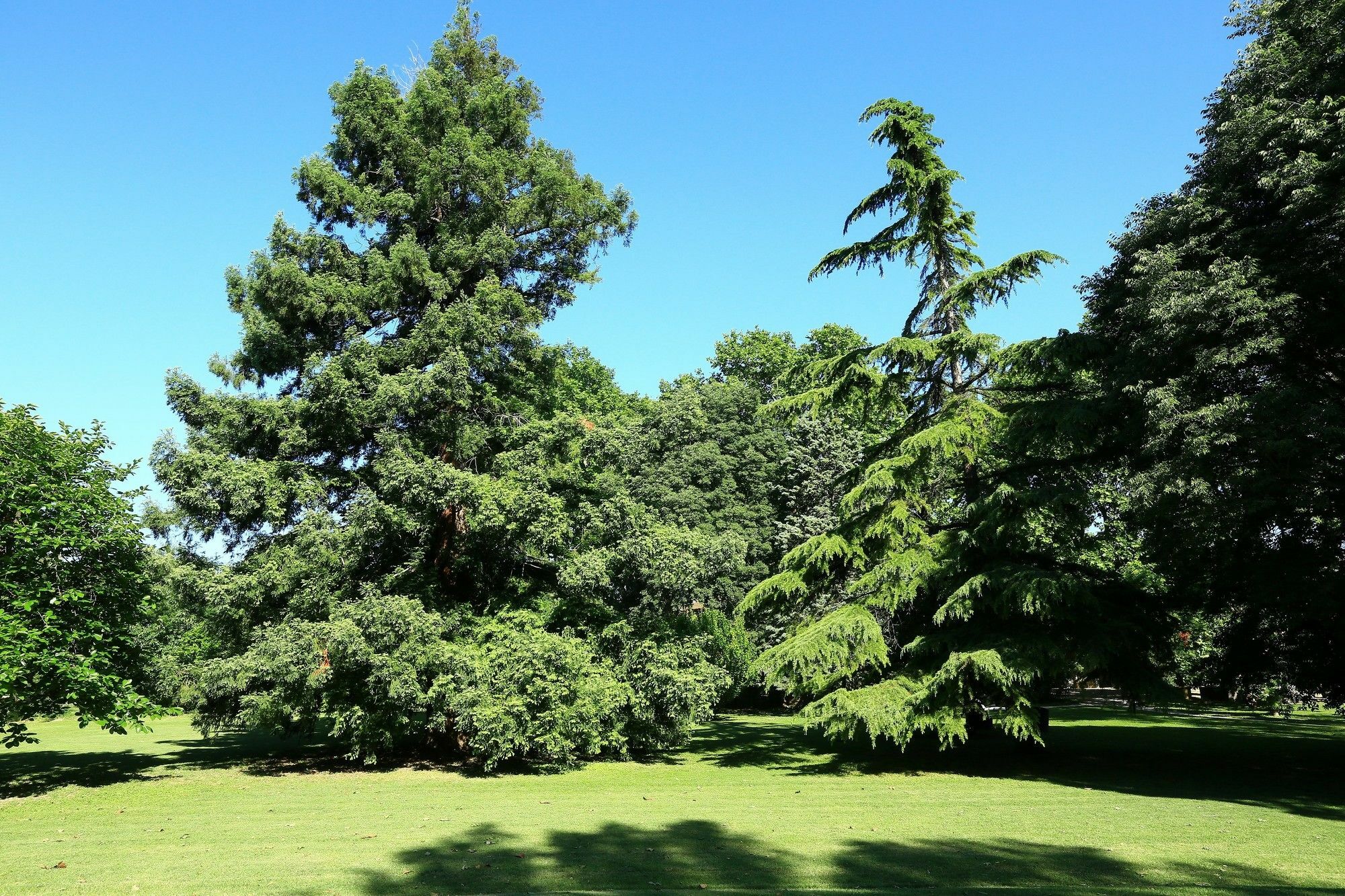 Les Gites Du Domaine De Rhodes Awinion Zewnętrze zdjęcie